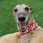 Profile Picture of Claude Bourque (@claude.bourque) on Instagram