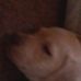 Profile Picture of Lance Reinhart (@lance.reinhart.54) on Facebook
