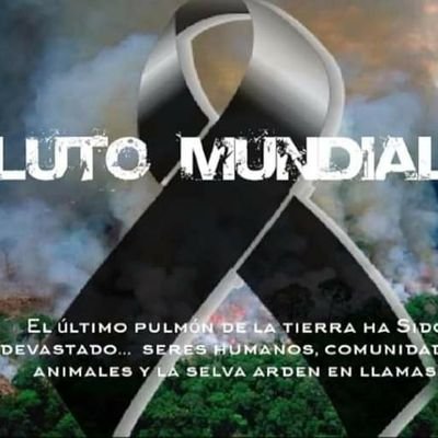 Profile Picture of Luis Cuenca Medina (@LuisCuencaMedi1) on Twitter