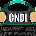 Profile Picture of Nancy Stoneman (@newdriverinsurance) on Flickr