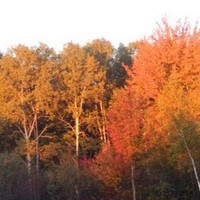 Profile Picture of Jessica Solomon (@jessica-solomon-11) on Quora