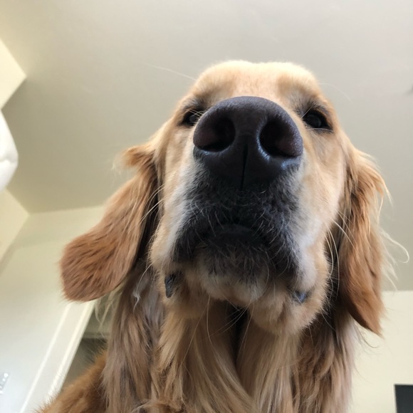 Sarah Huffsmith - Poshmark Profile Picture of Sarah Huffsmith (@shhuffsm) on Poshmark