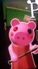 Profile Picture of   Zahra Al Fadhli... (@zahraalfadhli0) on Tiktok