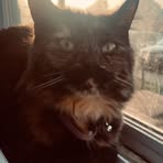 Profile Picture of Dylan Hogue (@dylan.hogue.2025) on Facebook