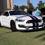 Peter Daddona - Flickr Profile Picture of Peter Daddona (@pete daddona) on Flickr