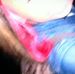 Profile Picture of Shanice Roberts (@shanice.roberts.14) on Facebook