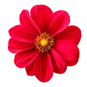 Profile Picture of Hussain Shariff (@MrSobhan1) on Youtube