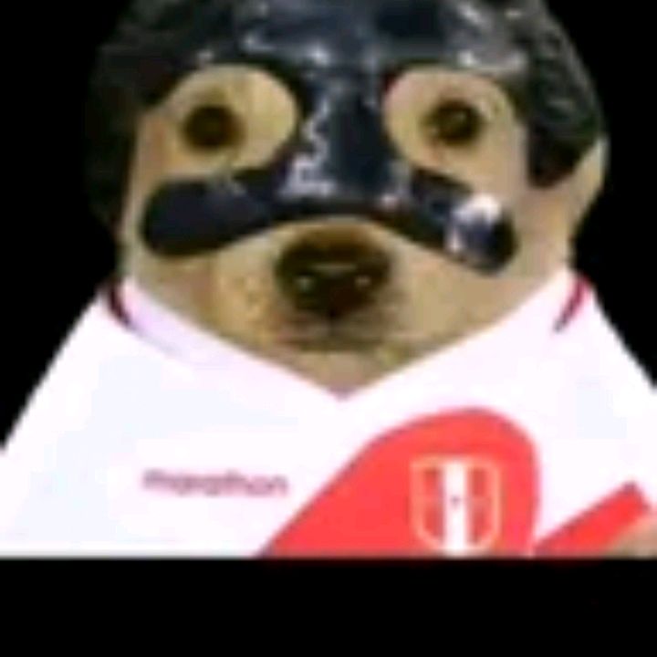 Profile Picture of Christopher (@christopheri53) on Tiktok