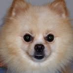 Crystal Copeland - Facebook Profile Picture of Crystal Copeland (@crystal.copeland.940) on Facebook