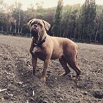 Travis 08 - Instagram Profile Picture of Travis 08 (@travis_boss_08) on Instagram