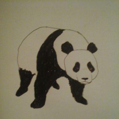 Profile Picture of Alexander Wilhelm (@AlexWi79) on Twitter