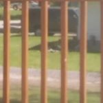 Profile Picture of Kyle Loveday & Zachary Spisz (@k_z_nation31) on Instagram