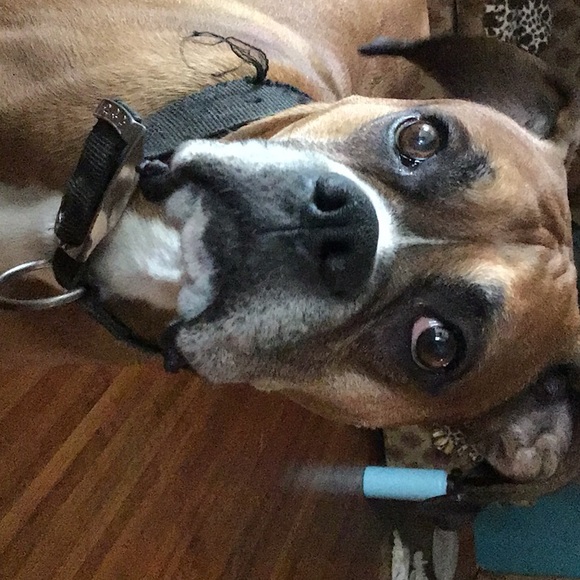 Brenda Dammann - Poshmark Profile Picture of Brenda Dammann (@bdammann66) on Poshmark