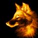 Profile Picture of Sam Vahnenko (@samv0776) on Pinterest