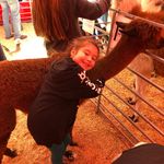 Profile Picture of Tony Farley (@tony.farley.1840) on Instagram