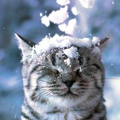 Profile Picture of Jerry Sweet (@Jerry_Sweeet) on Twitter