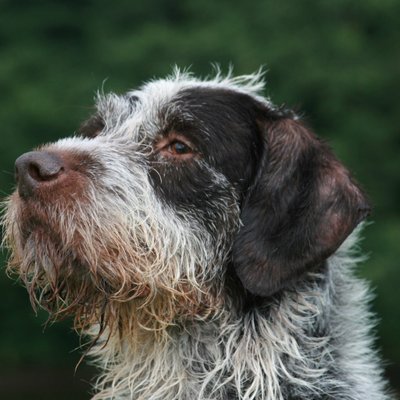 Profile Picture of Kevin Hay (@Kevinhay12) on Twitter