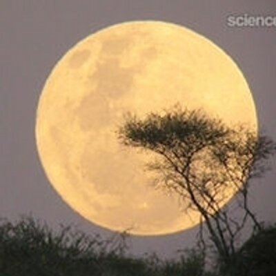 Profile Picture of Debra Thomas (@de_mammy) on Twitter