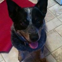 Profile Picture of Janet Coulter Westbrook (@janet-coulter-westbrook) on Quora