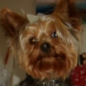 Profile Picture of Brendan Coffey (@bcoffey) on Youtube