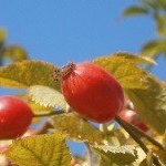 Profile Picture of Edgemar (@edgemarshatte) on Instagram