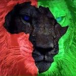 Profile Picture of Tony H Tilley (@harvey.tilley.1) on Instagram