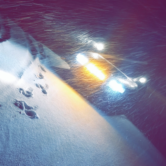 Profile Picture of Austin Arivett (@austinarivett) on Poshmark