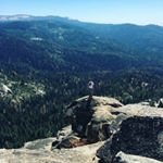 Profile Picture of Timothy McDonald (@tjmac94) on Instagram
