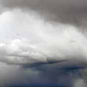 Profile Picture of Matthew McCawley (@mattay0) on Youtube