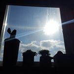 김은경 - Instagram Profile Picture of 김은경 (@eungyeong_g) on Instagram