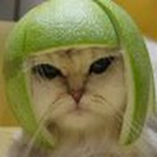 Profile Picture of Christopher Stoeckel (@christopherstoeckel9306) on Youtube