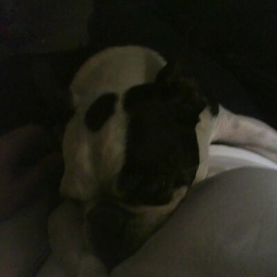 Profile Picture of Nancy Gamble (@nancyjoy122) on Twitter
