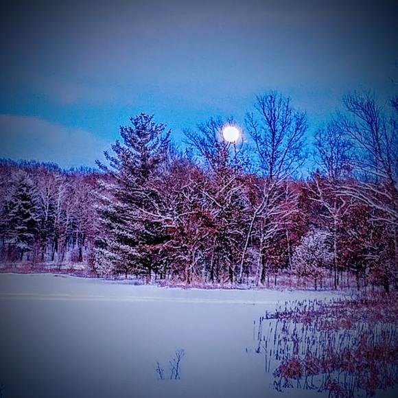 Profile Picture of Shannon Grindell (@shannylee82) on Poshmark