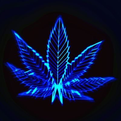 Profile Picture of Julian Olson (@Julian51018254) on Twitter