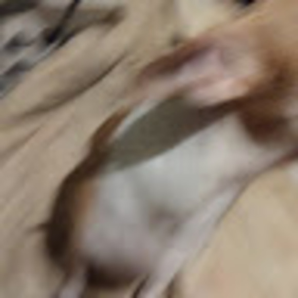 Profile Picture of James Jarrait (@jamesjarrait) on Poshmark