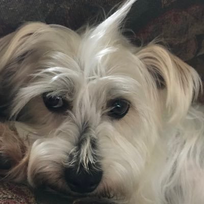 Profile Picture of Leah Grantham (@leahgrantham12) on Twitter