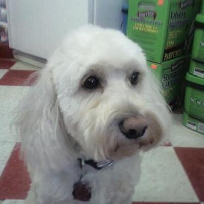 Profile Picture of JOHN TEDMAN (@johntedman) on Twitter