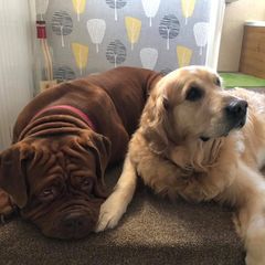 Profile Picture of Adrian Kemp (@adriankemp574) on Tiktok