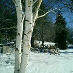 Profile Picture of Dawn Janovsky (@dawnjanovsky) on Instagram