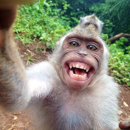 Profile Picture of matthewsigl13 (@matthewsigl) on Tiktok