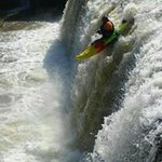 Profile Picture of Adam Goshorn (@adam.goshorn) on Instagram
