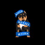 Profile Picture of Tyler Sneed (@sneedkennel) on Instagram