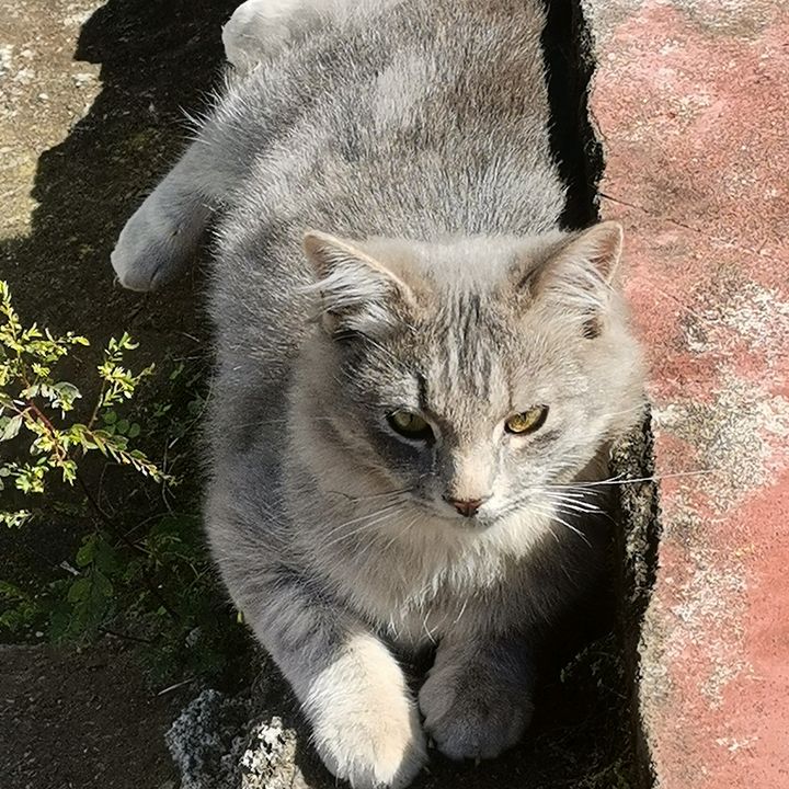 sarah - Tiktok Profile Picture of sarah (@sarah_techer) on Tiktok