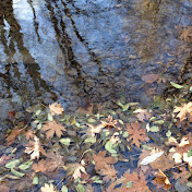 Profile Picture of Jessica Harness (@tweeko731) on Youtube