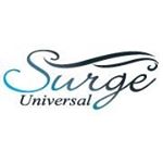 Profile Picture of Erez Barak (@surgeuniversalinc) on Instagram