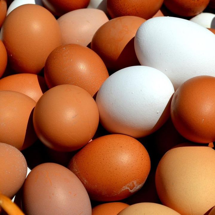 Profile Picture of Jesinius (@jesinius) on Tiktok