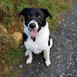 Profile Picture of Reeve Daffy Tim (@tim.reeve.1982) on Instagram