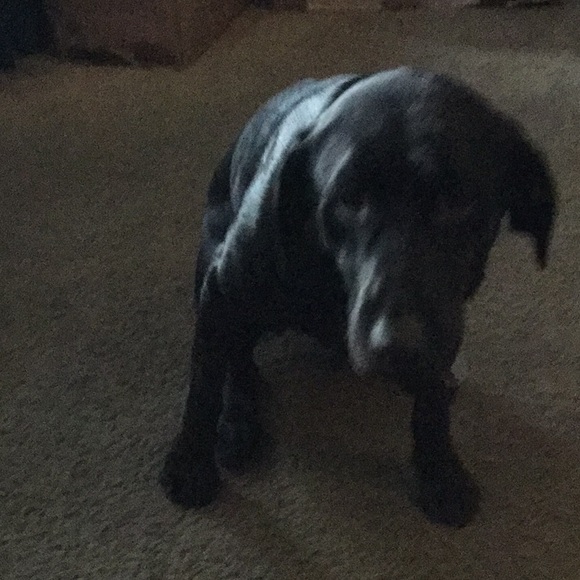 Profile Picture of Jake Philipps (@jphil945) on Poshmark