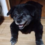 Profile Picture of mika   saeki (@rabu1209) on Instagram