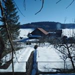 Profile Picture of Tina oswald (@tina.oswald.hohfirst) on Instagram